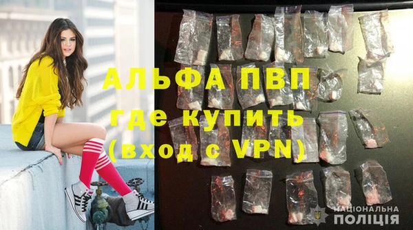 стаф Инсар
