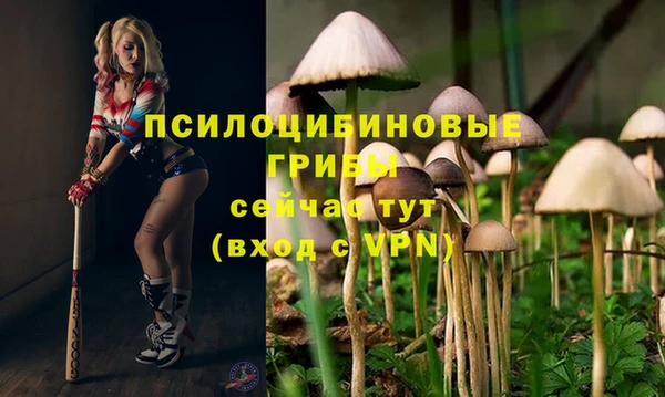 бошки Лихославль
