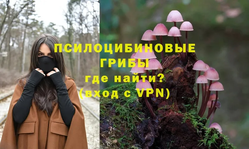 Галлюциногенные грибы Magic Shrooms  Орёл 